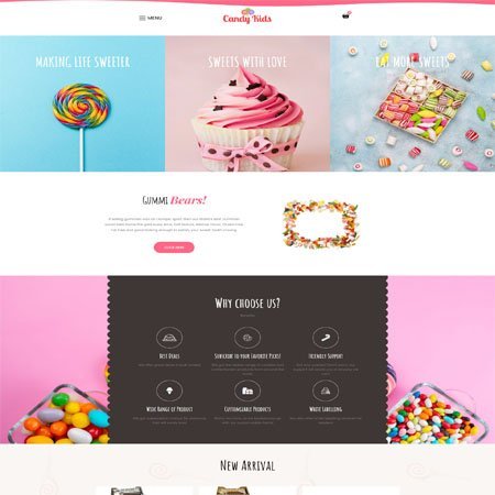 Website design portfolio